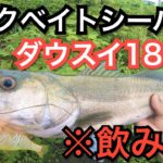 【ビックベイト】ダウズスイマーは本当に飲み物だった‼︎シーバス強烈バイト‼︎