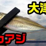 茨城県大津港でデカアジが釣れてるらしい