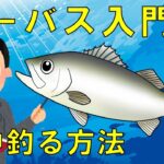 【シーバス攻略】道具と場所とテクニック一年中狙える方法