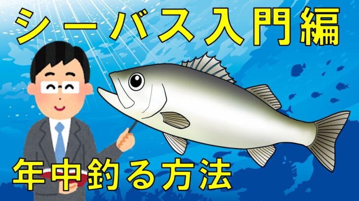 【シーバス攻略】道具と場所とテクニック一年中狙える方法