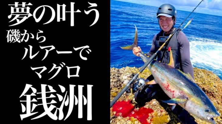 【神津島 銭洲 小ダルマ】追い求めたロックショア！キハダマグロ‼️