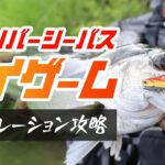 【シーバス】夏のリバーシーバスデイゲーム！バイブレーション攻略