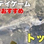 全然釣れない時に釣れるトップでシーバス釣ってみた