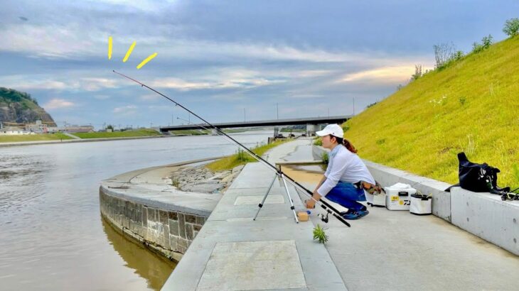 【最強】雨のあと釣れるってウワサの魚を狙ってみると…