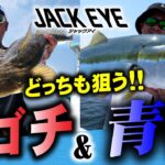 【ジャックアイ】マゴチ&青物どっちも狙う！伊勢湾ボートキャスティングゲーム