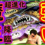 [トレクル]超進化フェス限トットムジカ確定! 大範囲4倍はバケモンでやばい!!!!!!! 強い!!!!?[OPTC]