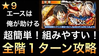 【トレクル】親父と弟 ☆9 全階1ターン攻略！ 超簡単！組みやすい！【OPTC】【One Piece Treasure Cruise】