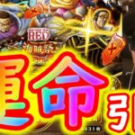 [トレクル]スゴフェスで運命的な引きをする!?海賊祭藤虎狙いの戦い[OPTC]