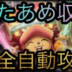 新フェス限チョッパー！わたあめ収集！超全自動攻略！［OPTC］［トレクル］［ONE PIECE　Treasure　Cruise］［원피스 트레져 크루즈］［ワンピース］