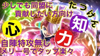 【トレクル】絆決戦VSウタ　海賊同盟　簡単楽々安定攻略