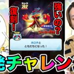 ぷにぷに「単発で出るの??」ZZZネロチ復刻したからガシャ引いてみた結果wwww【妖怪ウォッチぷにぷに】 〜魔女の復活〜Yo-kai Watch part1398とーまゲーム