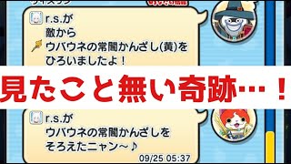 「まさかの展開」ウバウネ横取りしてたら…とんでもない奇跡が起きたんやが「妖怪ウォッチぷにぷに、ぷにぷに」（ニャーサー王物語）