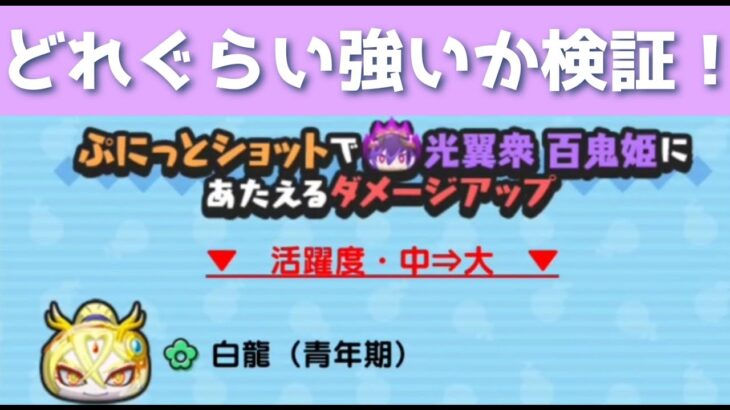 「白龍の特効強化」どれぐらい強いかつかってみた！！「妖怪ウォッチぷにぷに、ぷにぷに」（半妖の滅龍士）