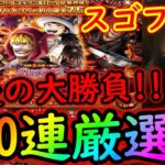 [トレクル]スゴフェス! コラソンロー狙いの最後の大勝負!!! 200連目の厳選枠[OPTC]