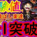 [トレクル]DevilishParty☆11経験値マシマシ編成で道中飛ばし楽々周回 [デビリッシュパーティ/ハロウィンルフィ][OPTC]