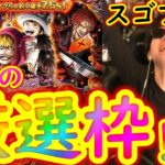 [トレクル]スゴフェス! 勝負の激アツ厳選枠!!!! ハロウィンコラソン＆ロー狙い[OPTC]