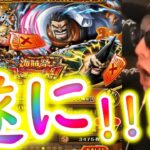 [トレクル]スゴフェス! 海賊祭ガープ狙い最後の戦いで遂に[OPTC]