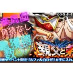 ワンピース　トレジャークルーズ【トレクル】【OPTC】　亀イベント　新フェス限『黄猿』なし編成！『親父と弟』の攻略動画です。