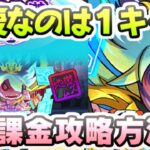 ぷにぷに 隠しステージ暴走日ノ神を無課金で攻略する方法！Yポイントとスキル２どちらを優先するか　妖怪ウォッチぷにぷに　レイ太