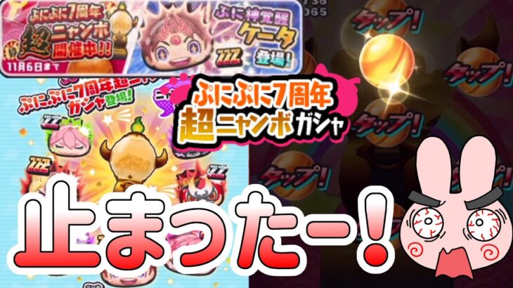 ぷにぷに 『運営だけしか得しない７周年！超ニャンボガシャで止まったー！！』 Yo-kai Watch