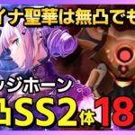 【ヘブバン】グラッジホーン18万点を無凸SS2体編成で出す方法/スコアアタック【ヘブンバーンズレッド】