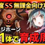 【ヘブバン】無課金向け!SS1体で難易度SSグラッジホーン攻略!オート周回パーティも紹介/イベント/プリズム/ガチャ/スコアアタック【ヘブンバーンズレッド】