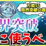 【ヘブバン】万能SSピースや限界突破の器は誰に使うべき？考え方解説！【ヘブンバーンズレッド】【heaven burns red】