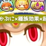 スノーラビィを最強状態にしてみた結果wwwww「妖怪ウォッチぷにぷに、ぷにぷに」（妖怪三国志）