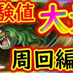 [トレクル]闘技場ササキ☆12 せっかくなら海賊Lv上げたい経験値大量に稼ぐ周回編成[OPTC]