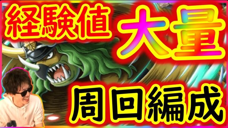 [トレクル]闘技場ササキ☆12 せっかくなら海賊Lv上げたい経験値大量に稼ぐ周回編成[OPTC]