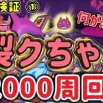 【ぷにぷに】裂クちゃん2000周回！ドロップ検証①何が落ちるかな？【妖怪ウォッチぷにぷに】