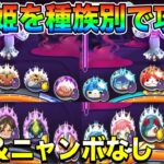 ぷにぷに ｢種族別の4パターンで攻略｣特効＆ニャンボなしでもフミ姫は簡単に勝てる！【妖怪ウォッチぷにぷに】#359