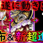 [トレクル]緊急続報「遂にウタ修正案件が動き出す!!!新超進化ウタ登場＆報酬形式で補填ウタ配布!!!!」[OPTC]