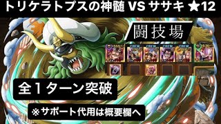 【トレクル】トリケラトプスの神髄 VSササキ 闘技場 ★12 攻略 全１ターン