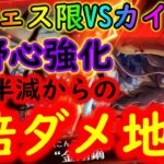 [トレクル]超フェス限VSカイドウ海賊祭初陣! 知野心また更に強くなってしまうの!!!!!?[OPTC]