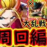 [トレクル]大乱戦! 激闘の悪魔と蜘蛛☆10新ナミや亡者ゾロ等なし周回編成 [OPTC]