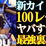 新超フェスカイドウ100レべフルブ！最強の裏取り能力！【バウンティラッシュ】