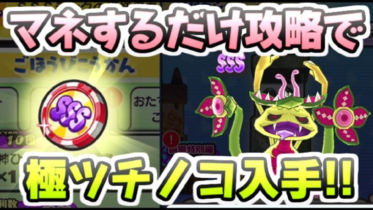 ぷにぷに 無課金でマネするだけ攻略最後！極ツチノコ入手までガシャとゲンキドリンク　妖怪ウォッチぷにぷに　レイ太