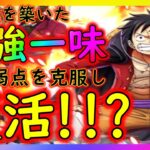 [トレクル]1時代を築いた最強キャラルフィ＆麦わらの一味! 8周年環境により生まれた１弱点を克服しあの効果の強さが復活!!!!?[OPTC]