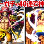 【バウンティラッシュ】ロジャーガチャ40連で神引き来たぁぁぁ！！超バウンティフェス！！【ONE PIECE】