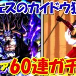 【バウンティラッシュ】超フェスのカイドウ狙って60連でまさかの結果に！！【ONE PIECE】