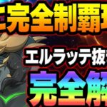 魔獣戦ニーズホッグ攻略！立ち回り、お勧め装備ガチ解説！クリア出来ない人必見！【グラクロ】【Seven Deadly Sins: Grand Cross】