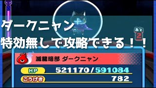 「これで勝てる！！」特効なし・ダークニャンの攻略方法教えます！！「妖怪ウォッチぷにぷに、ぷにぷに」（滅龍特別編）