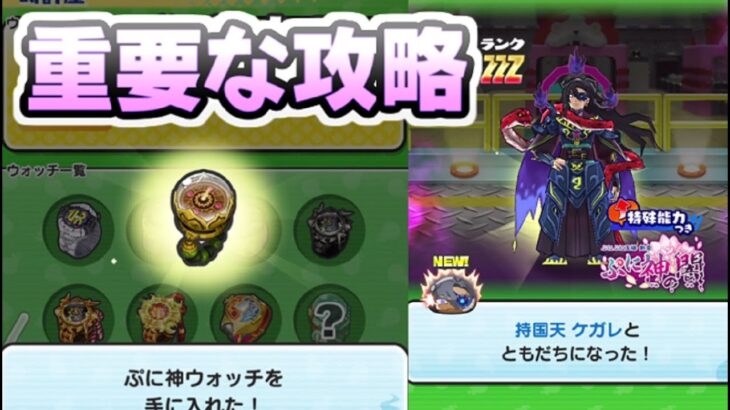 ぷにぷに ラストチャンスでイベント攻略はここからが重要！使えるキャラとアイテム入手！　妖怪ウォッチぷにぷに　レイ太