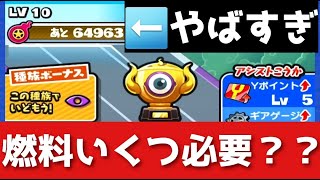 「難易度終わってる…」レベル10に必要な燃料を検証してみた！！「妖怪ウォッチぷにぷに、ぷにぷに」（ニャーサー王最終回）