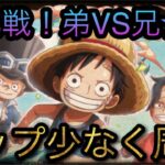 大乱戦！弟VS兄！★10！タップ少なく周回編成攻略！［OPTC］［トレクル］［ONE PIECE　Treasure　Cruise］［원피스 트레져 크루즈］［ワンピース］