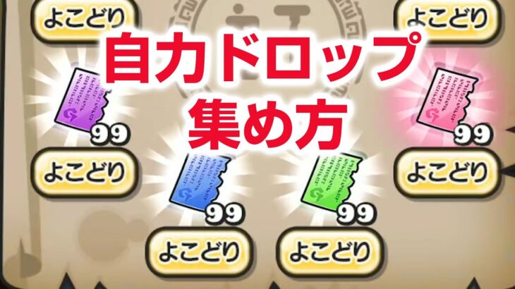 【ぷにぷに攻略】無課金の人が自力でお宝集める方法 かんたんバニーイートの倒し方 傀照朱雀 裏マップ よこどり 妖魔人