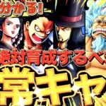 【無課金必見!】早く!効率良く!!確実に強くなる為に育成するべき恒常キャラを全部紹介!!!!!【バウンティラッシュ】