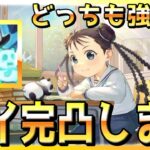 【ハガモバ】”新キャラ解説”オリヴィエ＆メイは壊れではない模様【鋼の錬金術師モバイル】