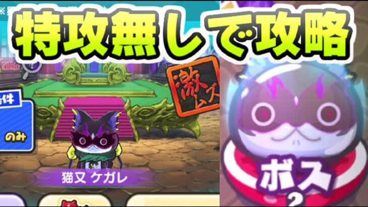 ぷにぷに 裏ステージ猫又ケガレを特攻キャラ無しで攻略！全種族で勝てるけど難易度は高い！　妖怪ウォッチぷにぷに　レイ太